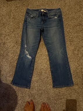 American Eagle Outfitters Dark Blue Distressed cropped Jeans